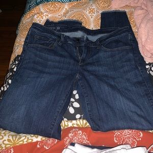 Ann Taylor Jeans